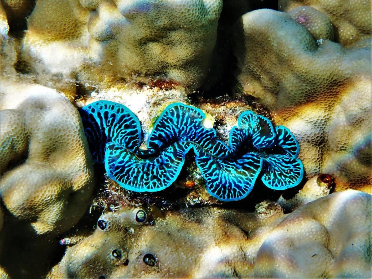 2 Nuits Insolites & 1 Excursion Voile A Bord Du Voilier Mori Ora Moorea Exteriér fotografie